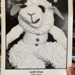 Lamb chop promotional picture